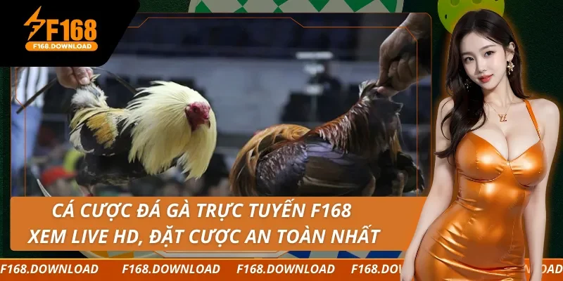 Cá Cược Đá Gà Trực Tuyến F168 Xem Live HD, Đặt Cược An Toàn Nhất