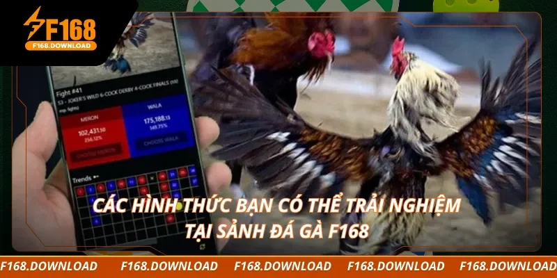 Các hình thức bạn có thể trải nghiệm tại sảnh đá gà F168