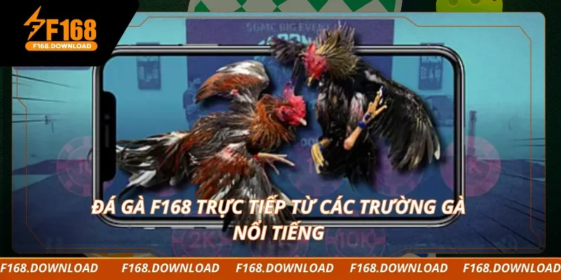 Đá gà F168 trực tiếp từ các trường gà nổi tiếng