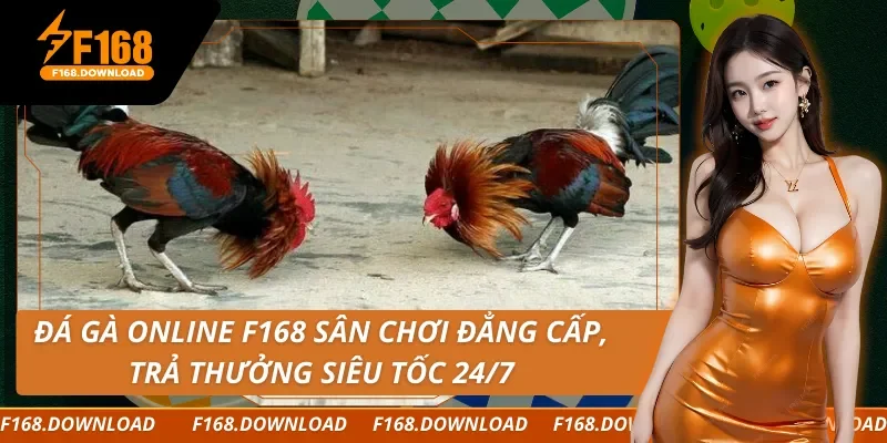 Đá Gà Online F168 Sân Chơi Đẳng Cấp, Trả Thưởng Siêu Tốc 24/7