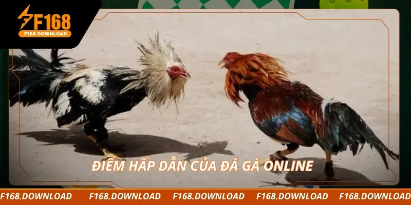 Điểm hấp dẫn của đá gà online