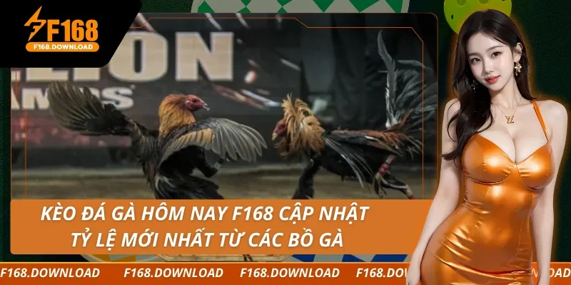 Kèo Đá Gà Hôm Nay F168 Cập Nhật Tỷ Lệ Mới Nhất Từ Các Bồ Gà