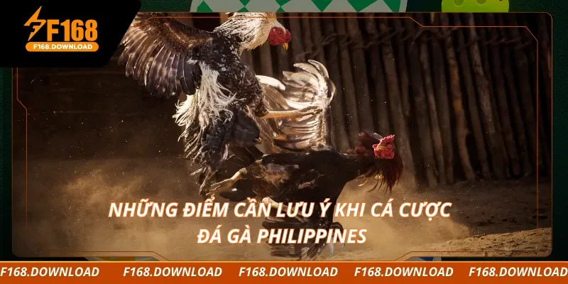 Những điểm cần lưu ý khi cá cược đá gà Philippines