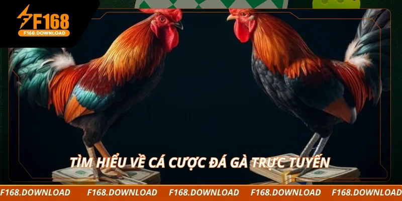 Tìm hiểu về cá cược đá gà trực tuyến