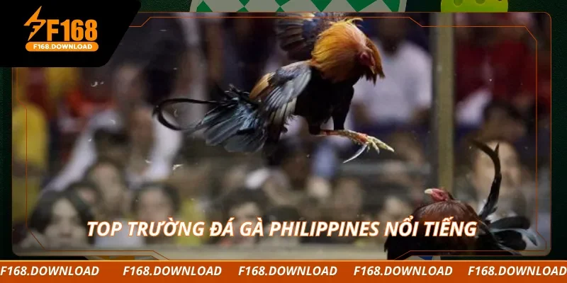 Top trường đá gà Philippines nổi tiếng